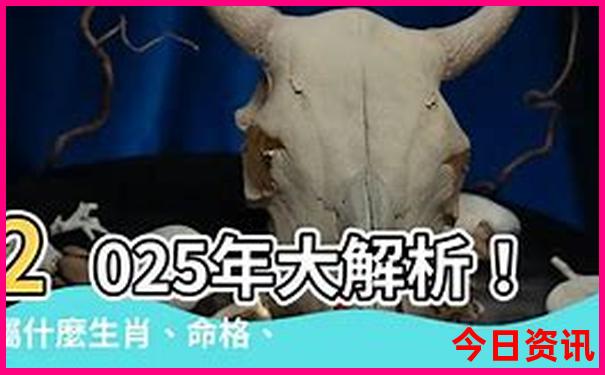 带父母去旅游去哪里好