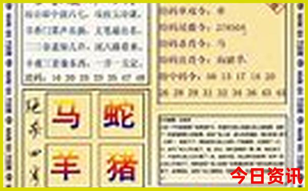 正版管家婆全网100速查期期全新指南中速查管家-777788888管家婆免费